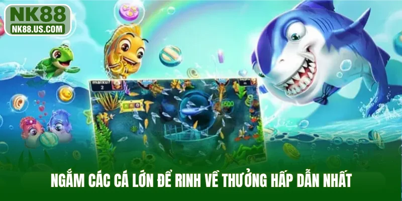 Ngắm các cá lớn để rinh về thưởng hấp dẫn nhất