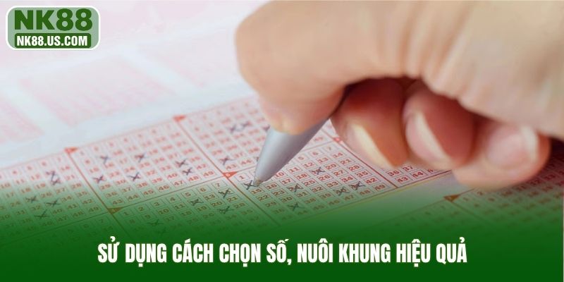 Sử dụng cách chọn số, nuôi khung hiệu quả